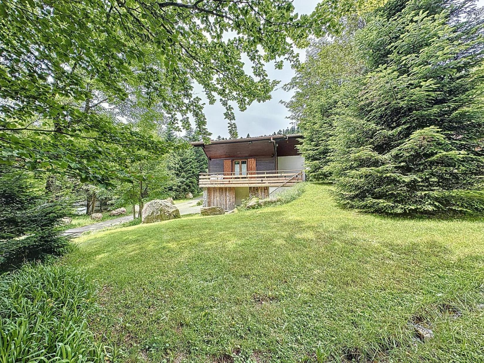 Le Chalet Des Belles Roches, La Bresse Hohneck Vila Exterior foto